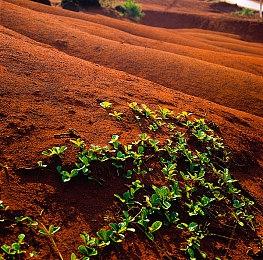 B社更新《德军总部：新血脉》 移除D加密技术
